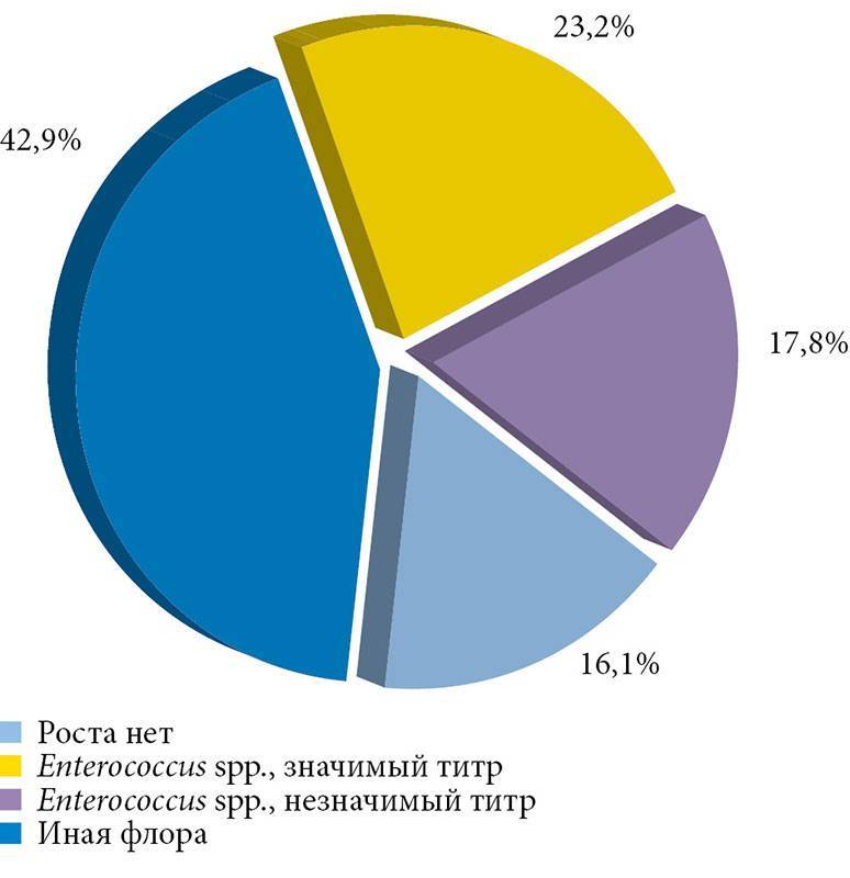 Энтеробактерии: виды, характеристика, симптоматика, диагностика, как лечить
