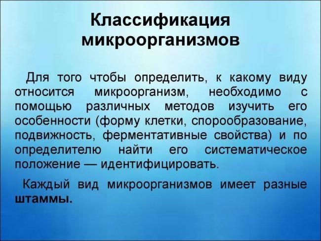 Где и как человек использует бактерии