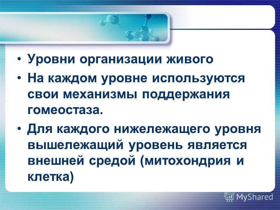 Гомеостаз