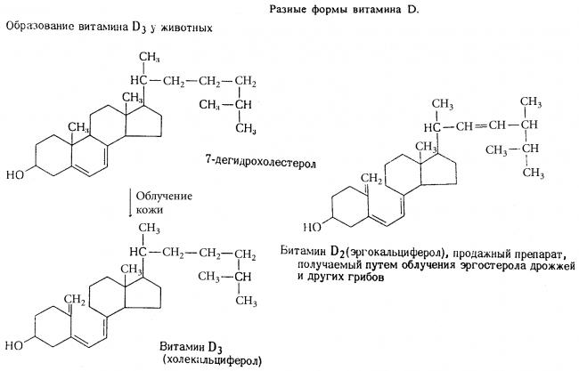 Гормоны кальциевого обмена