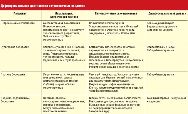 Препарат широкого спектра действия капилар! поможет укрепить стенки сосудов