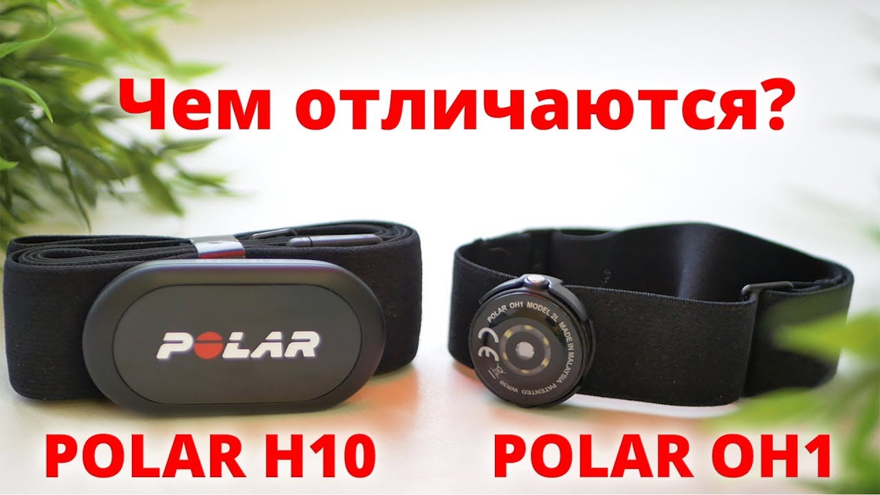 Артериальный пульс