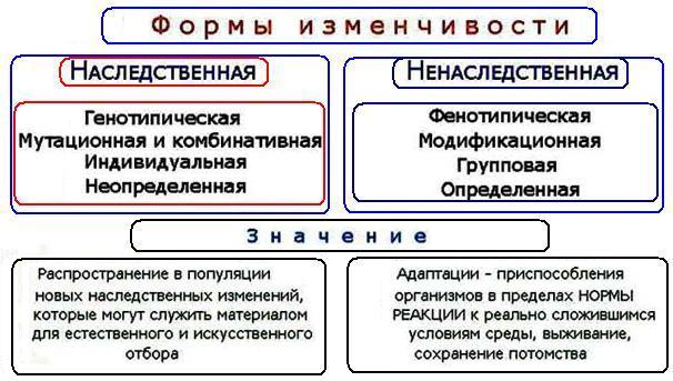 Мутации - биология егэ