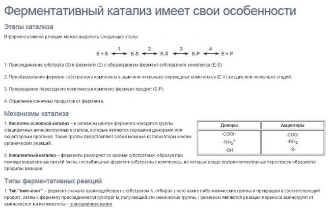 Ферменты что это? ферменты, или энзимы- это органические катализаторы белковой природы, которые ускоряют реакции, необходимые для функционирования живых. - презентация