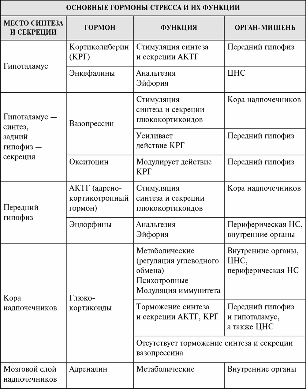 Гормон лептин повышен: как понизить уровень гормона