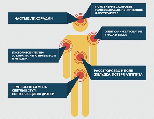 Питание при вирусном гепатите остром