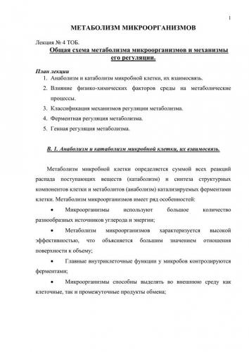 Для чего нужны ферменты бактериям, их польза и вред для человека