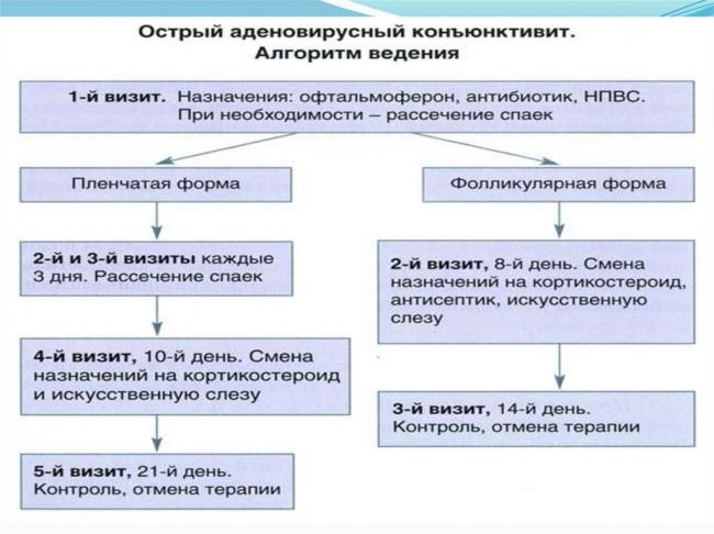 Аденовирусная инфекция у детей: симптомы, лечение и профилактика
