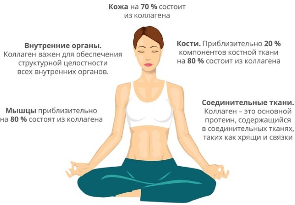 Коллаген: инструкция по применению препарата для суставов
