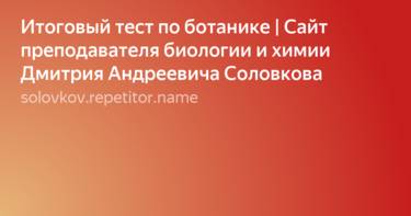 Cердечно-сосудистая система человека: строение, функции, патологии