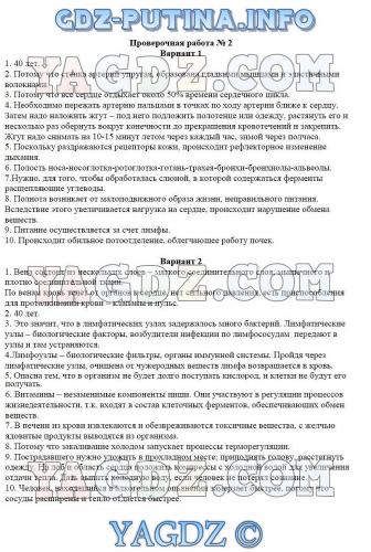 Нервная система обеспечивает согласованную работу всех органов и систем организма осуществляет ориентацию организма во внешней среде и приспособительные. - презентация