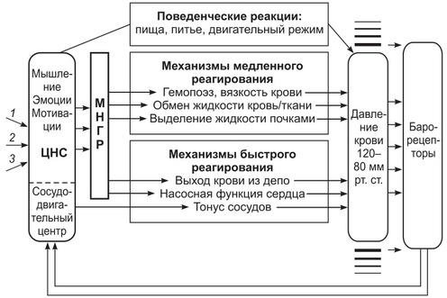 Кровяное давление