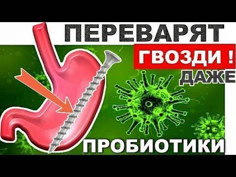 Лактобактерии – это то, что обеспечит здоровье
