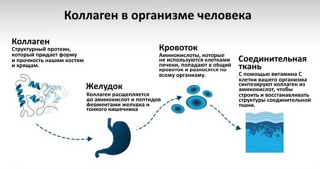 Геленк нарунг инструкция по применению, цена, отзывы