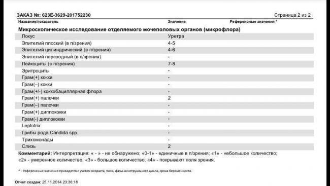 Мазок на степень чистоты влагалища: 1,2,3,4 степени, что это такое, причины, как лечить