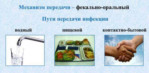 Питание при хроническом гепатите в циррозе печени