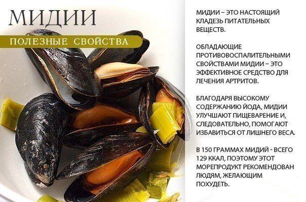 Продукты, содержащие цинк (zn) в большом количестве: виды, правила употребления, профилактика дефицита