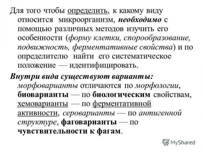 Минусы и плюсы жизни с бактериями
