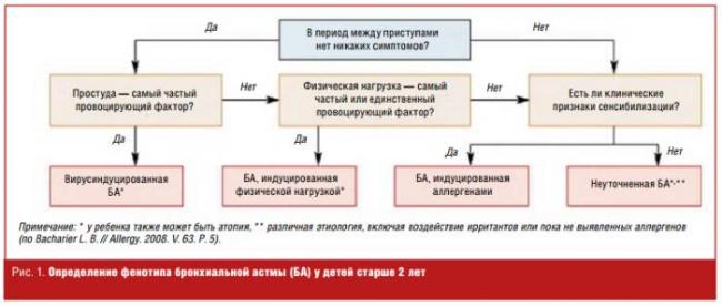 Первые признаки бронхиальной астмы: что делать?