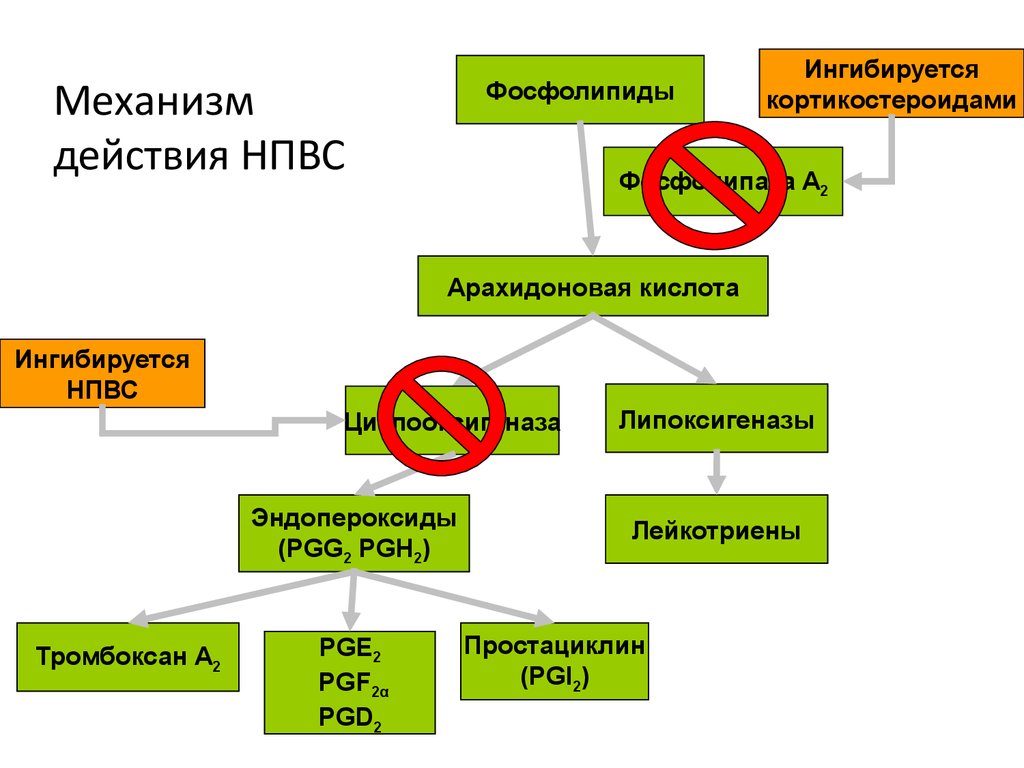 Мовасин: правила применения препарата, показания и противопоказания