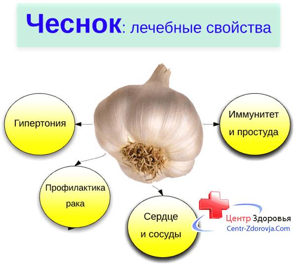 Сок лука, мазь «звездочка» и коварные капли. как лечить насморк и не спутать его с гайморитом