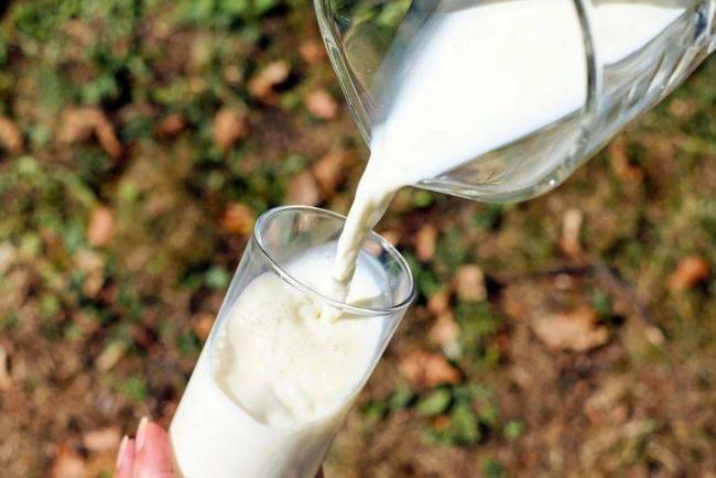 Микробиология молока и молочных продуктов — студопедия