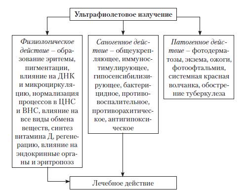 Влияние солнца на биологическую жизнь земли