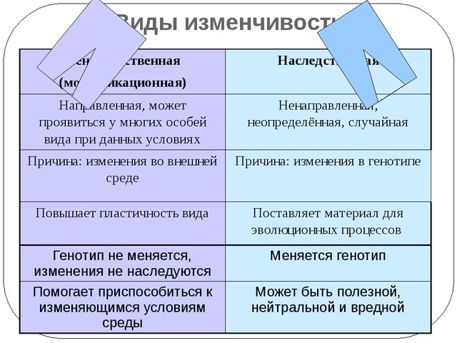 Мутации