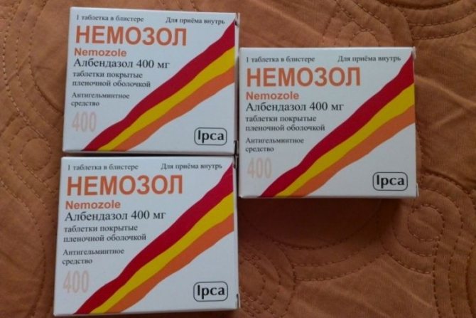 Чем отличается карликовый цепень от остальных гельминтов