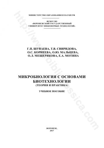 Бактерии-хемосинтетики, живущие на дне океана