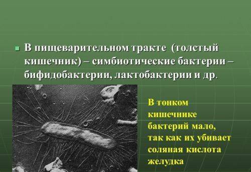 Молоко