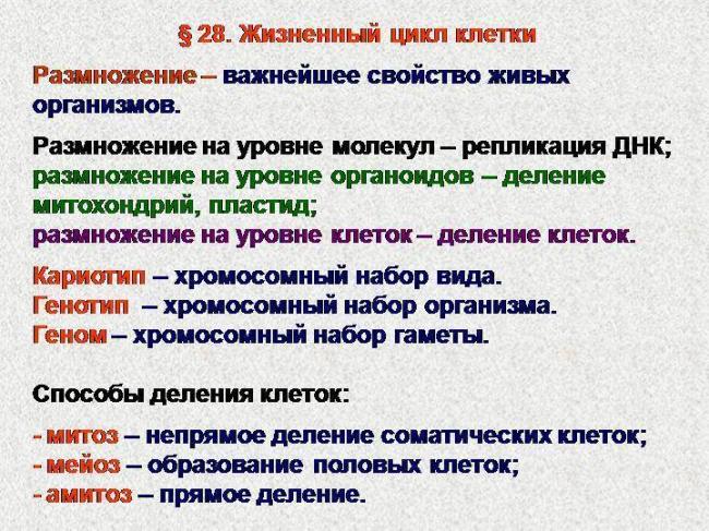 Способность бактерий к половому размножению. инфекции, передающиеся половым путем