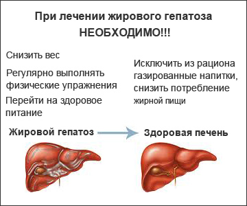 Что можно кушать при жировом гепатозе печени: диета и меню
