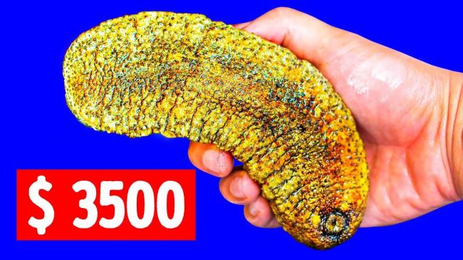 Диетические блюда из морепродуктов