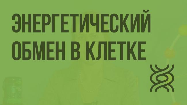 Обмен веществ и энергии в клетке