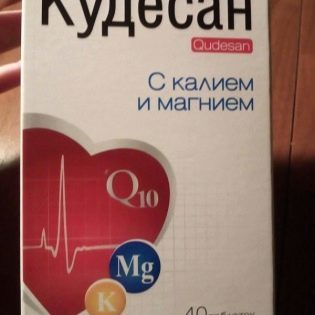 Кудесан q10
