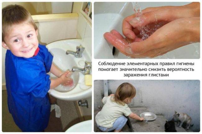 Инструкция по применению ВЕРМОКС VERMOX