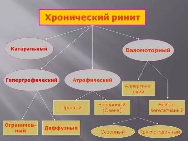 Лечение хронического насморка народными средствами отзывы
