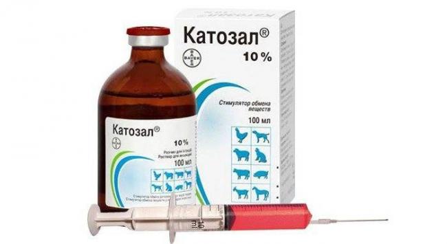 Описание ветеринарного препарата Катозал