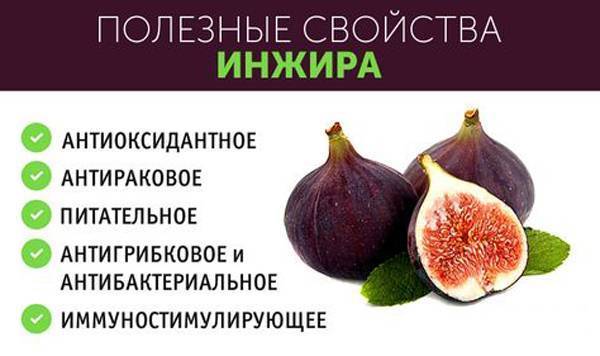 Зеленая и черная редька с медом от кашля