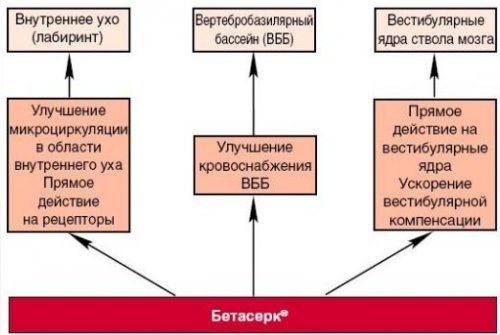 Бетагистин (betahistine). отзывы пациентов принимавших препарат, инструкция, цена