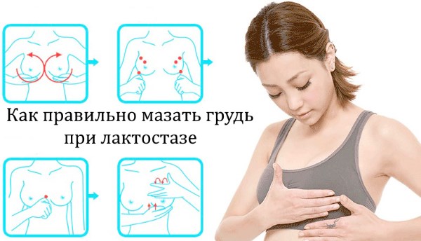 Арника мазь: инструкция по применению