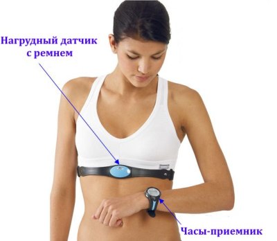 Чсс википедия