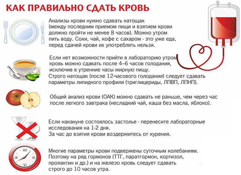 Анализ крови при бронхите: какие показатели общего анализа крови меняются при бронхите