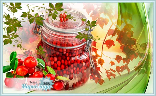 Какие ягоды помогают при кашле