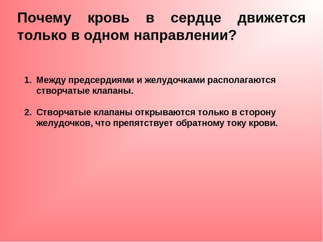 Анатомия сердца: вены сердца