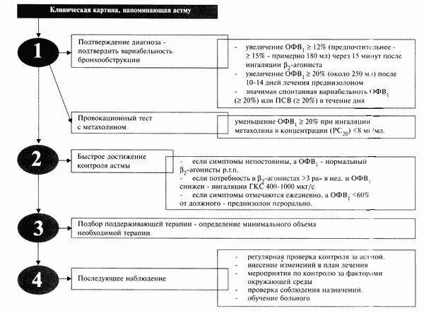 Особенности и правила проведения дифференциальной диагностики при бронхиальной астме