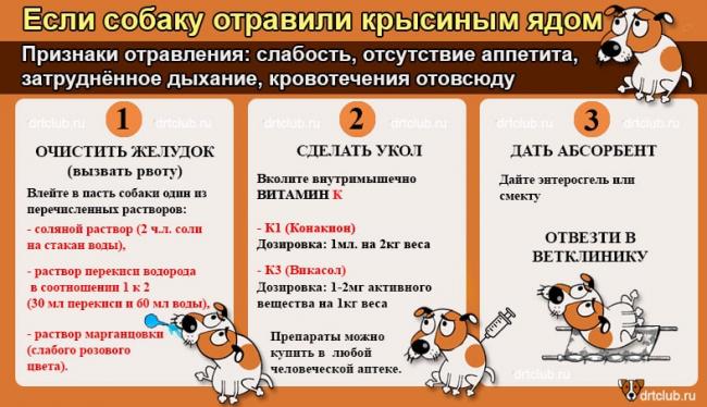 Москва, изониазид