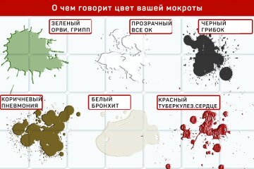 Почему выделяется мокрота, а кашля нет: возможные заболевания и их лечение