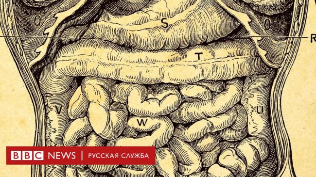 Жизнедеятельность патогенных грибов на коже человека – опасность, которая не дремлет